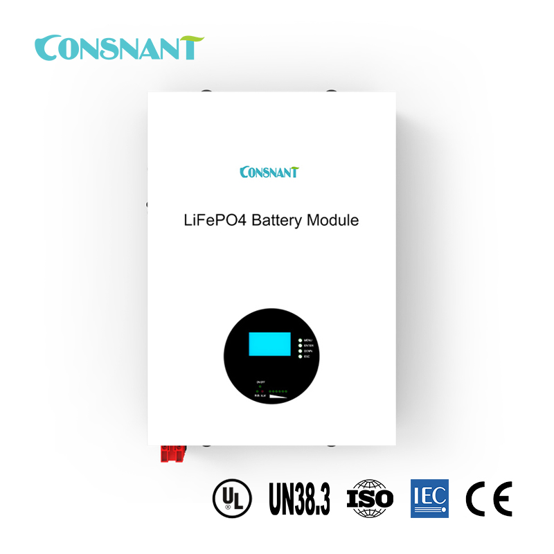 Paquete de batería LiFePO4 de montaje en pared 48V 100AH